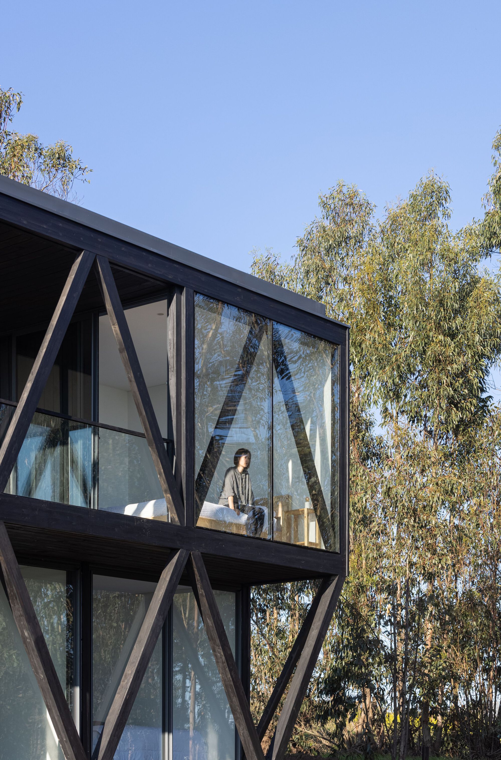 莫拉之家丨智利丨Stanaćev Granados-23