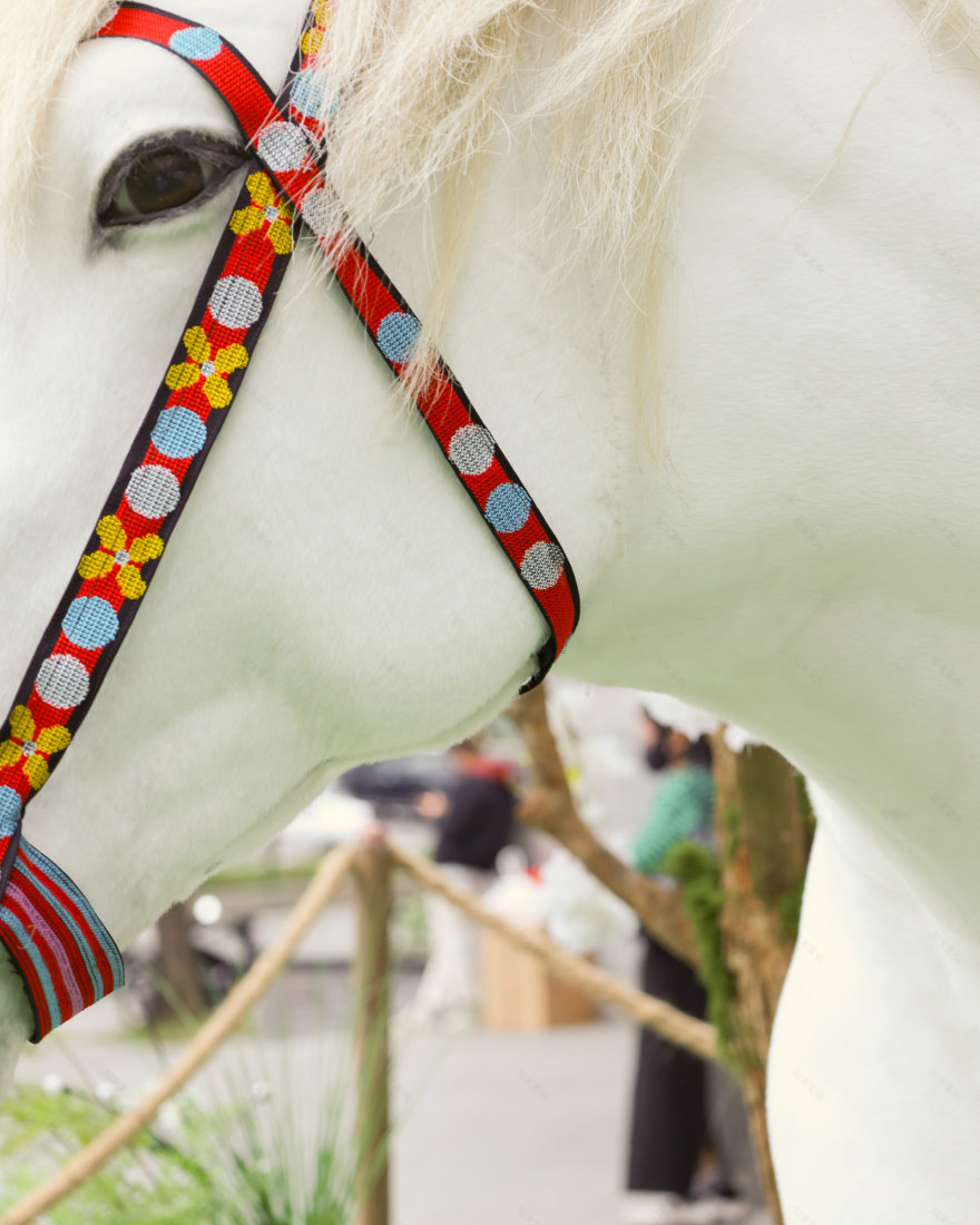 “Mã Đáo Thảnh Thơi”活动视觉设计项目丨Studio Cohe-70