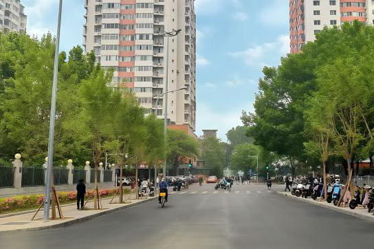 从课堂到街区更新实践！园林学院师生携手居民共建街巷“博物馆”-108