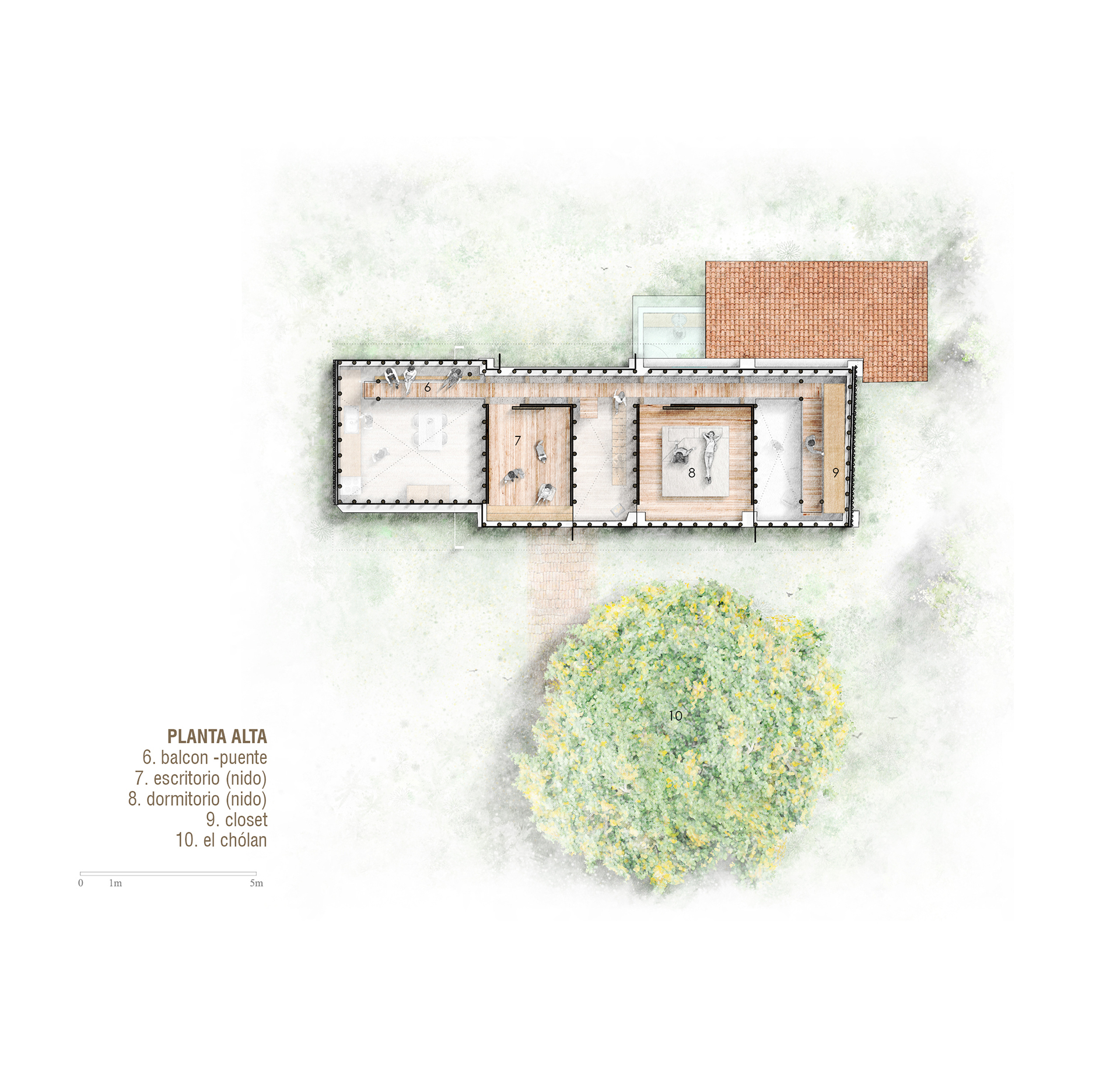 乔兰雀巢屋丨厄瓜多尔丨Daniel Moreno Flores 等-27