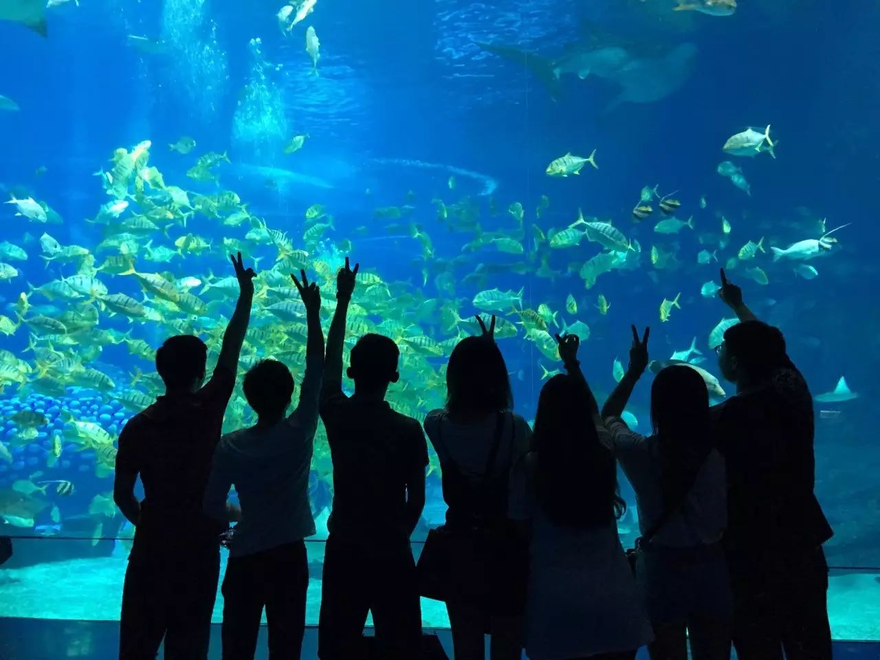 卫观设计团队珠海长隆欢乐之旅-46