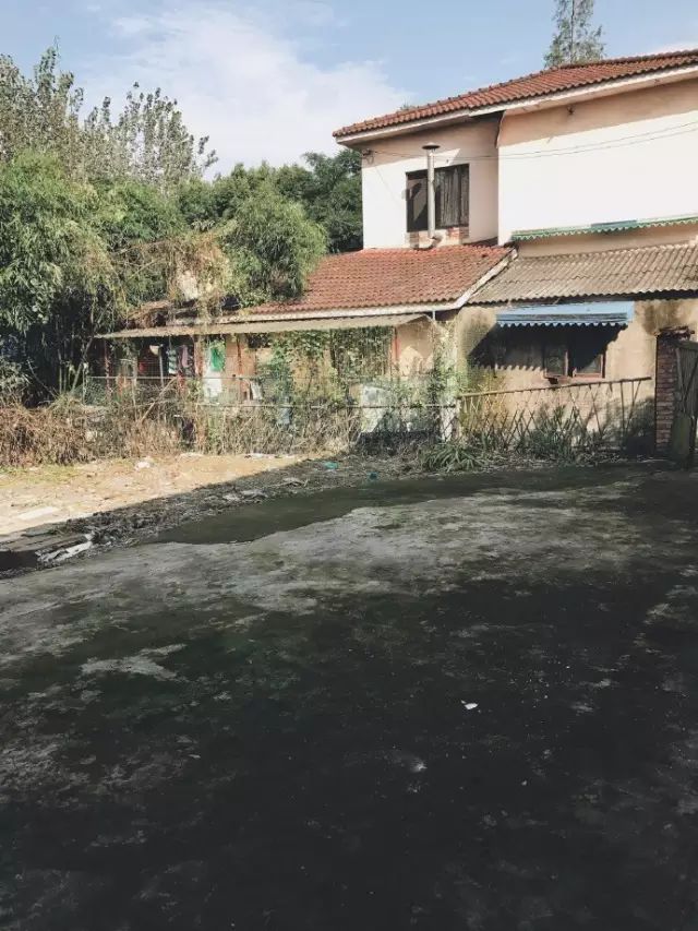 把一个破烂小院，爆改成中国风的入云屋，凉亭、枫树、竹篱笆......-26