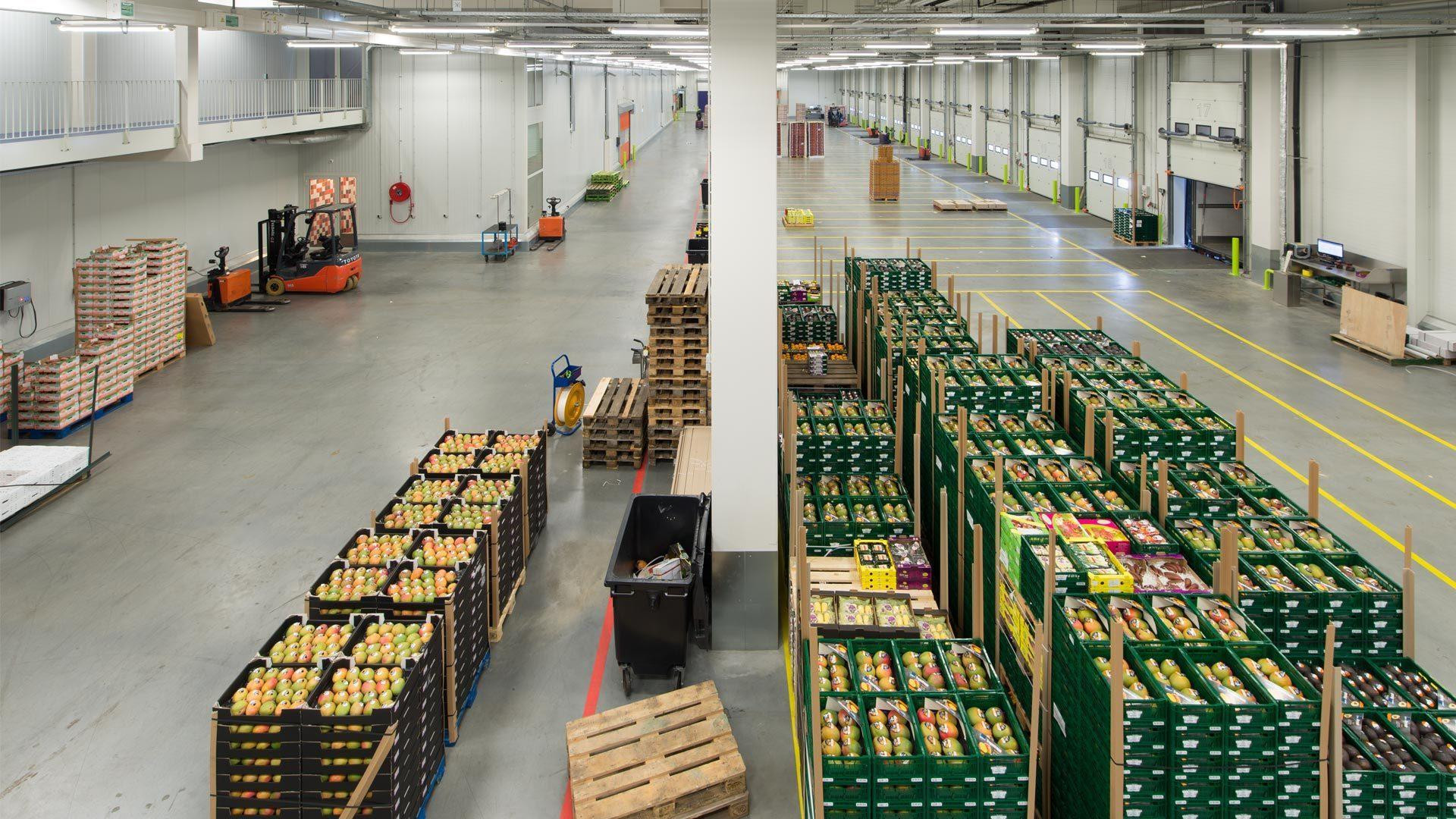 Nature's Pride 公平贸易配送中心丨Paul de Ruiter Architects-6