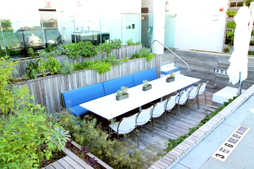 Pool Farm | Future Green Studio-7