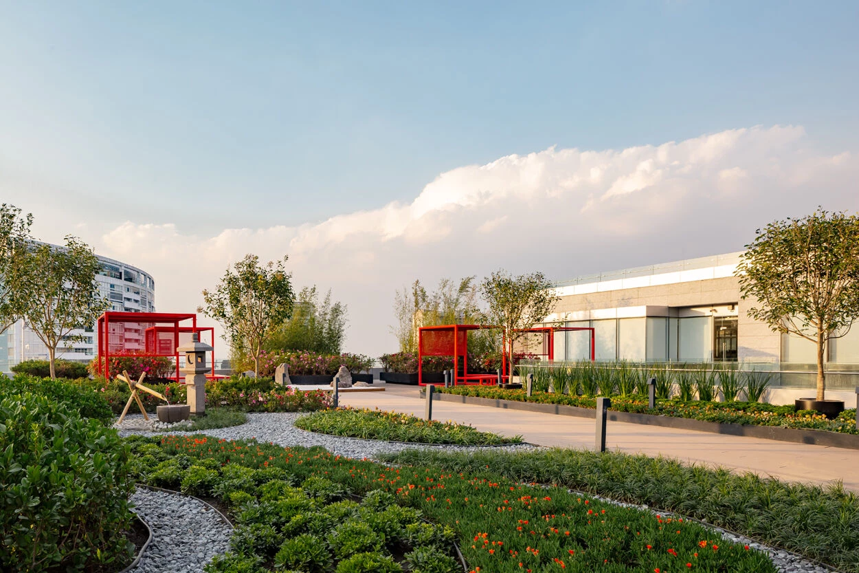 现代日式风格的办公室设计Corporativo T丨墨西哥墨西哥城丨Work+-17