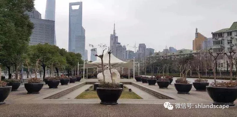 上海浦东世纪大道改造提升工程-78