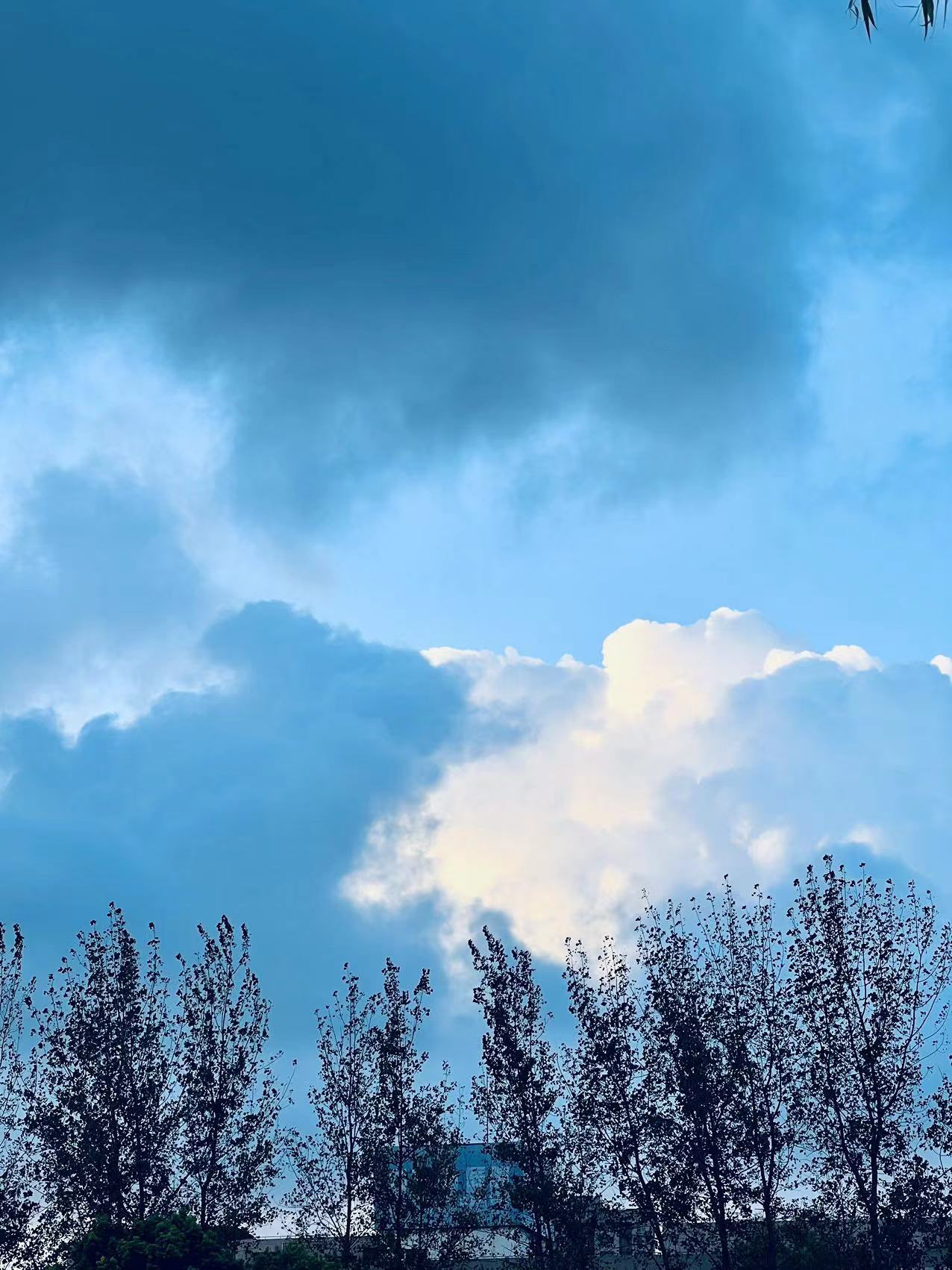 上海浦东张家浜 | Shanghai-7