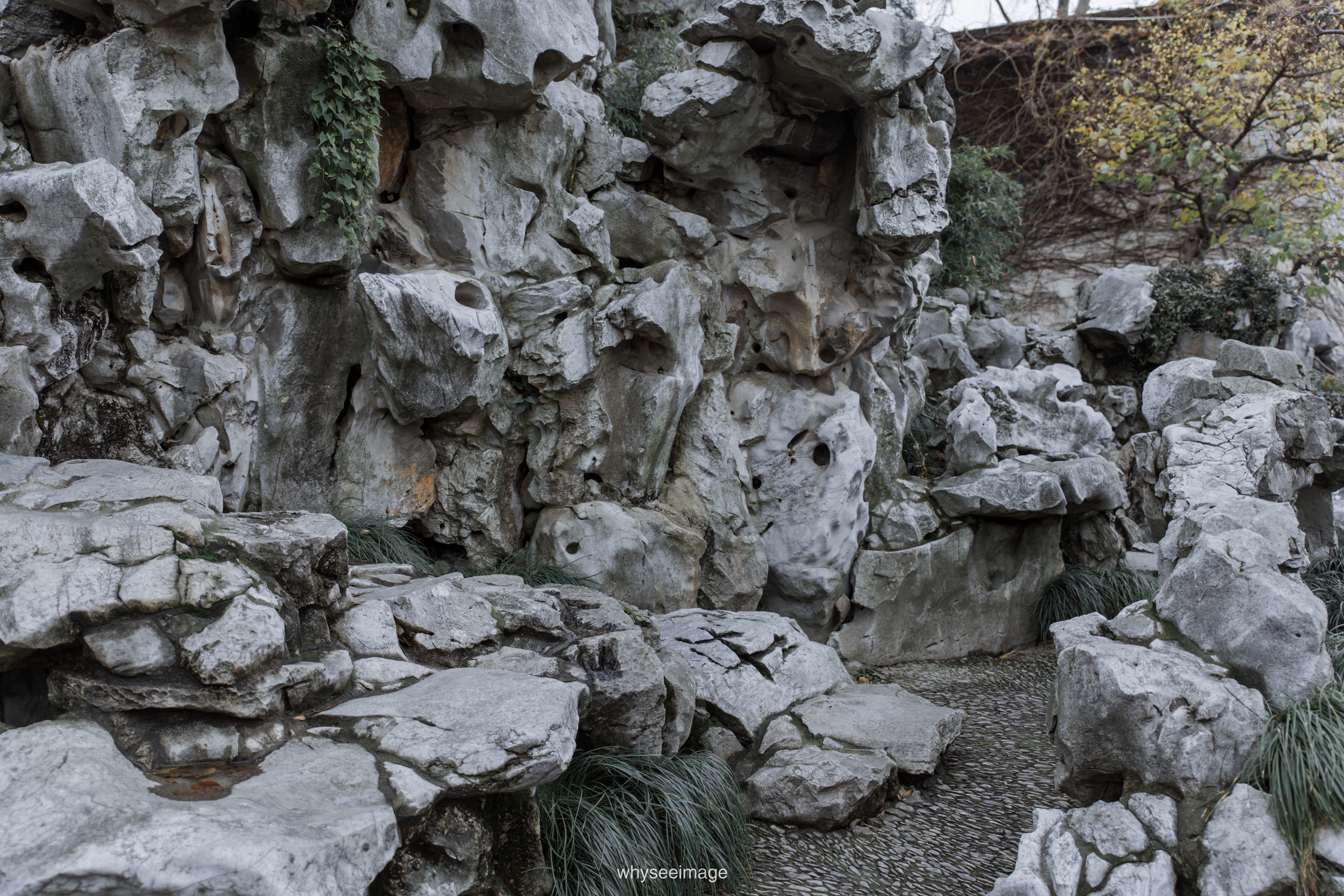 艺圃 Garden of Cultivation丨中国苏州丨whyseeimage-80