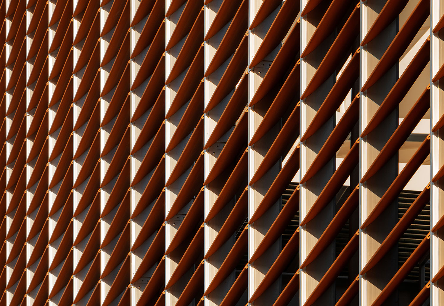 丨United StatesNew York丨ROSSETTI-18