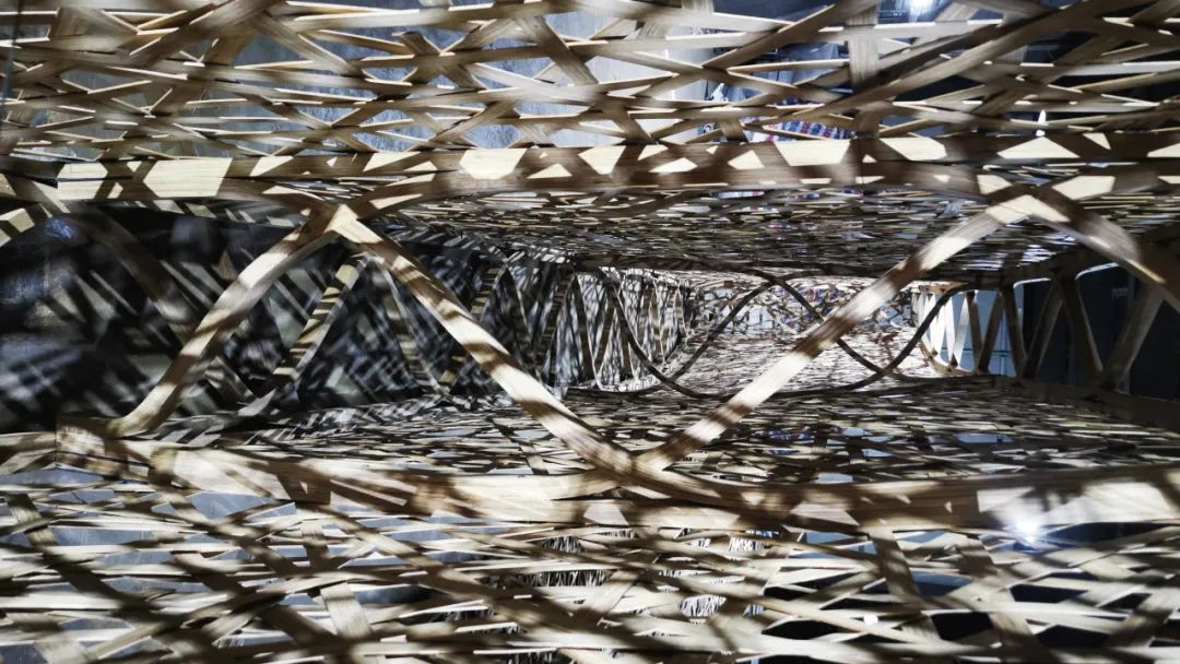 你以为竹子的极限和竹子真正的极限-115