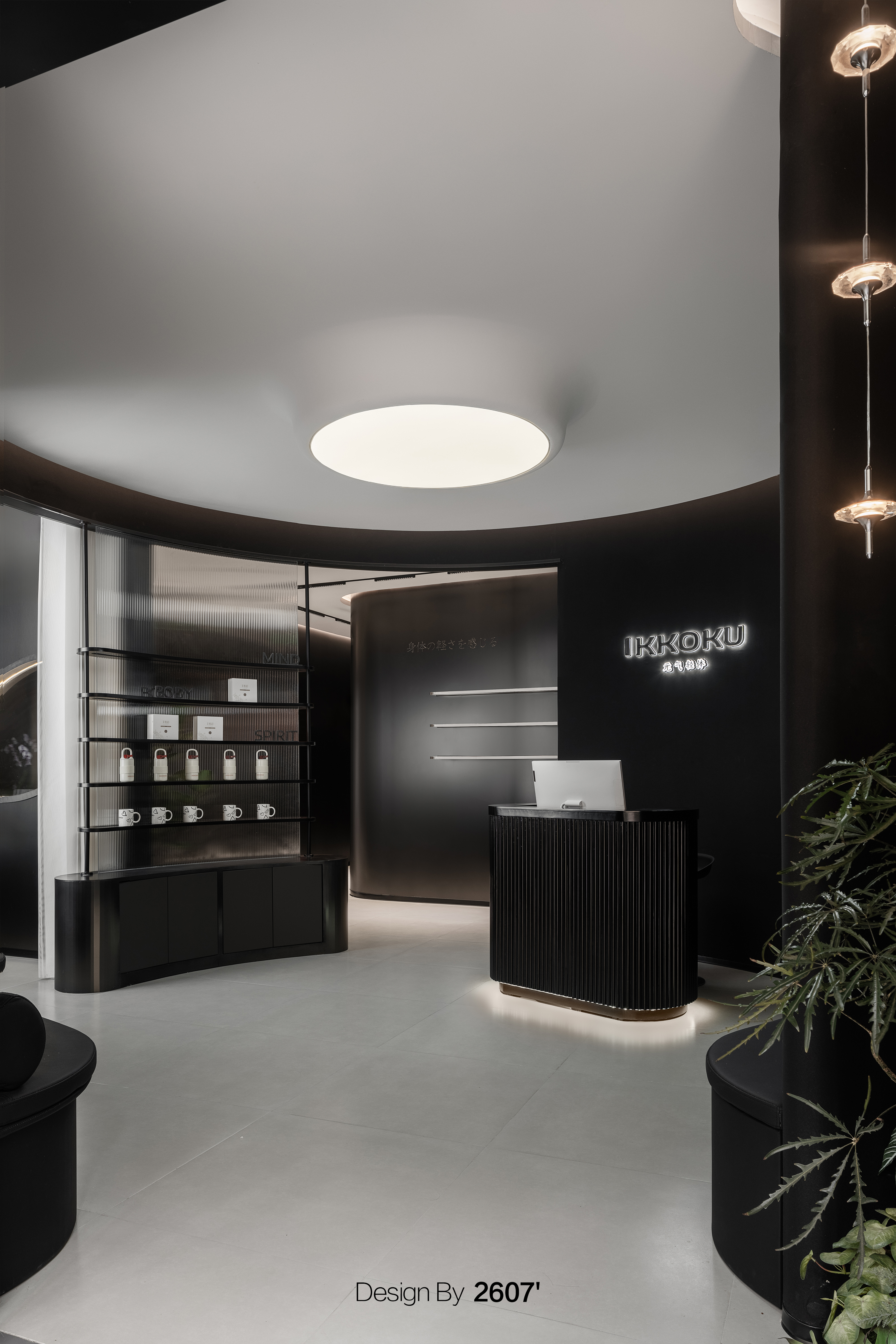 IKKOKU元气轻体丨ARCSIN2607-13