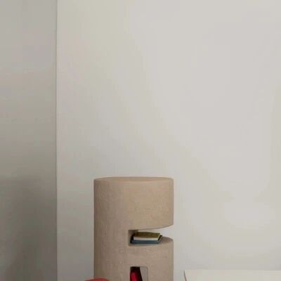 探索·现代主义住宅丨巴西丨玛丽安·里奥斯-19