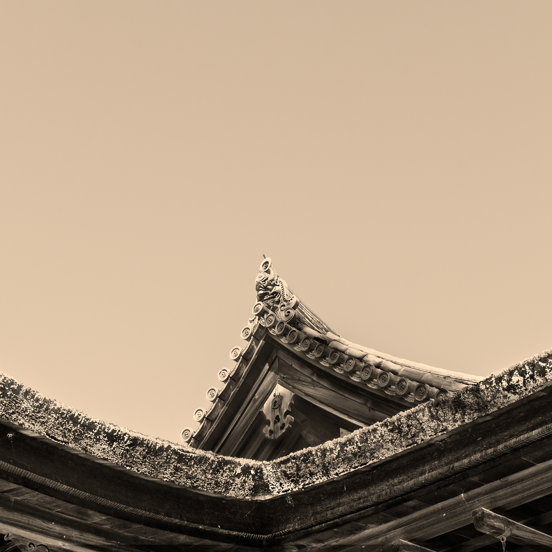 HORYUJI,最古老的木制建筑丨日本奈良丨HashiLaboratory-12