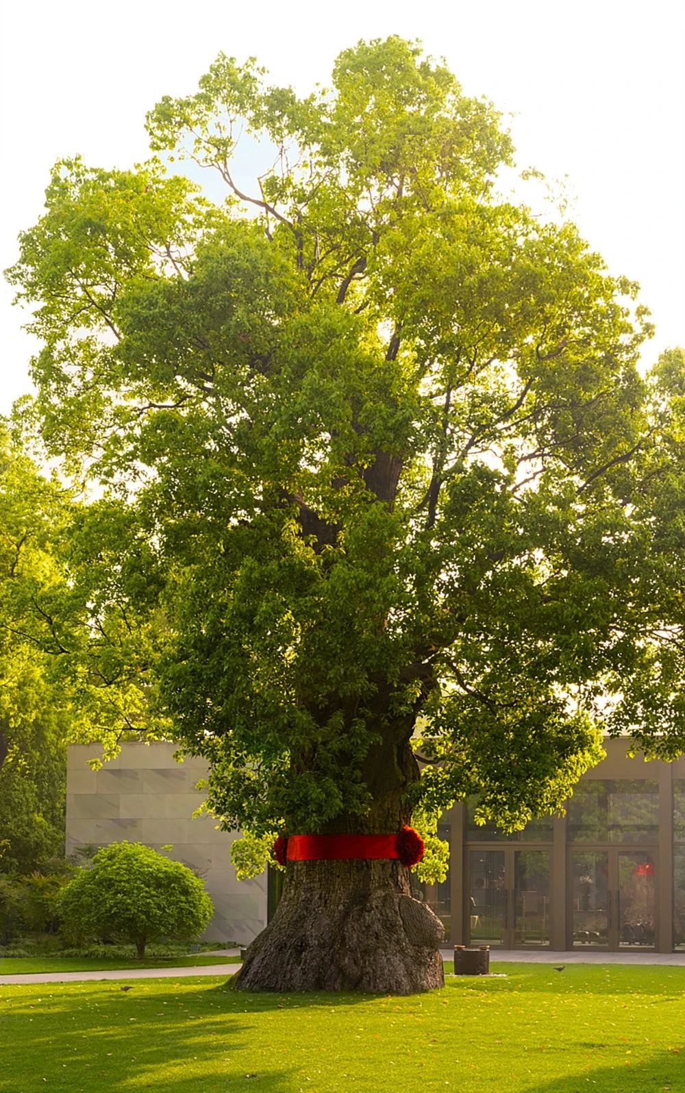 养云安缦丨中国江西丨KHA建筑事务所,安缦御用景观设计VDLA-1