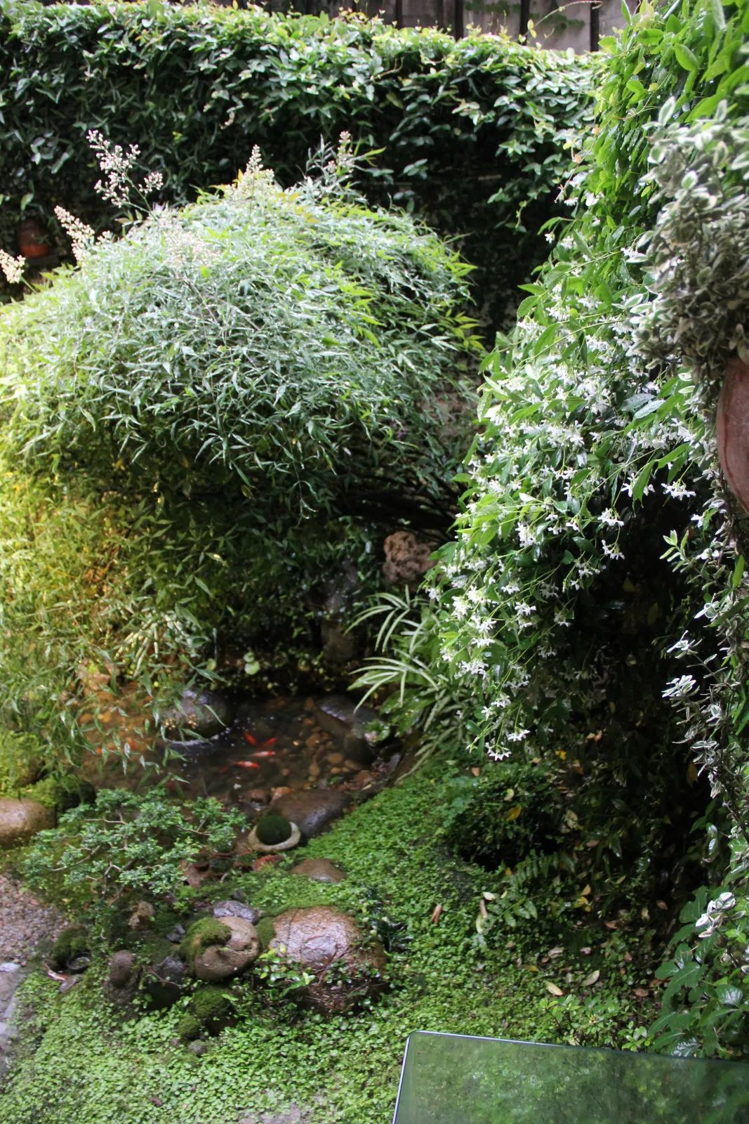 院落生活 | 诗与远方的完美结合-33