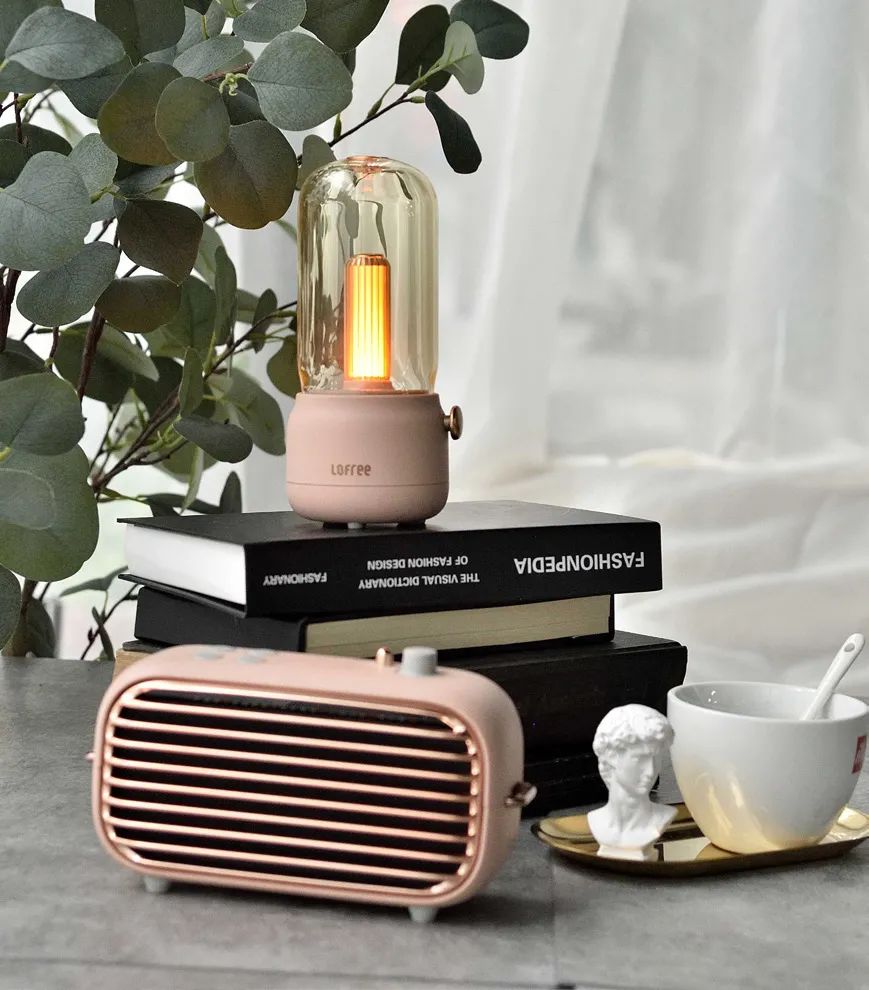 2021 金汐奖年度十佳生活器具丨深圳市洛斐客文化有限公司等-8