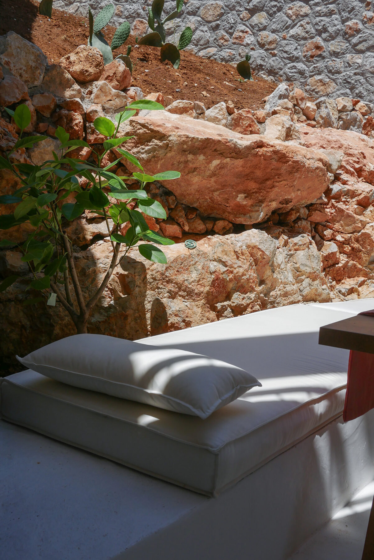 丨康斯坦丁诺斯·埃斯塔西乌,乔治·布吉乌科斯,康斯坦丁诺斯·塞洛斯-23