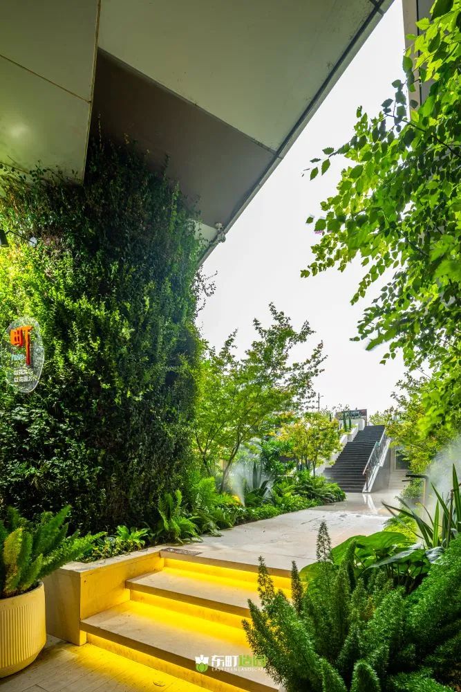 町室丨中国上海丨朱伟国（Mark.Zhu）-62