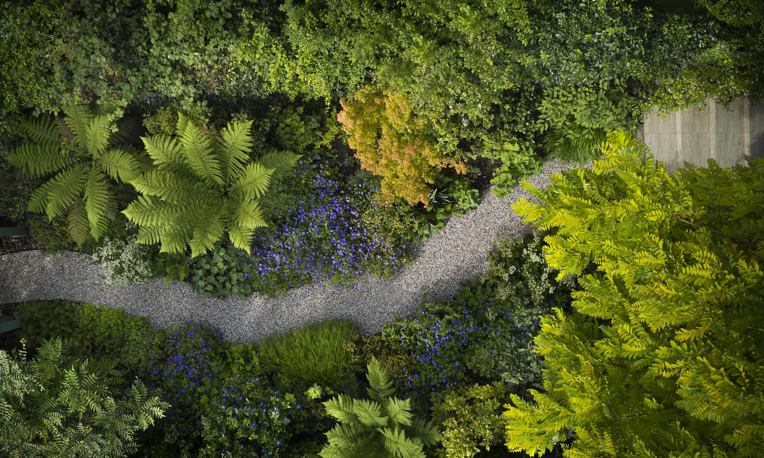庭院花园,美在方寸之间丨英国丨Stefano Marinaz Landscape Arch-30