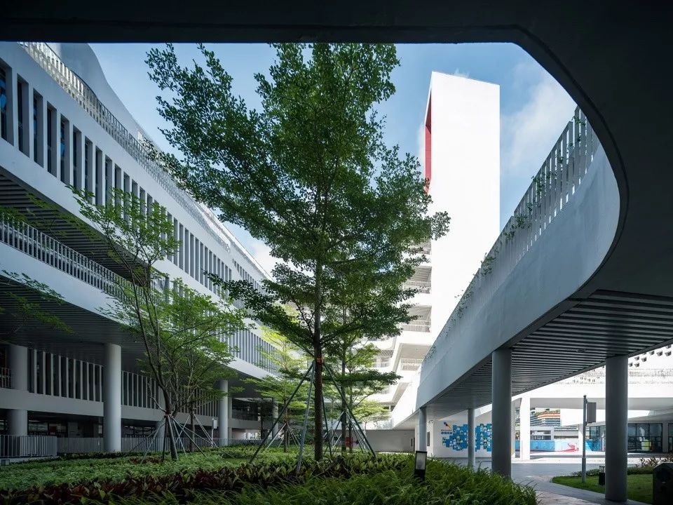 深圳前海三小(荔湾小学)- 高容高密校园的立体空间营造-45