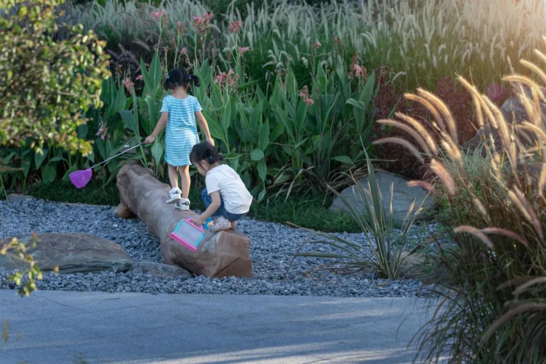 东莞万科儿童友好社区-59