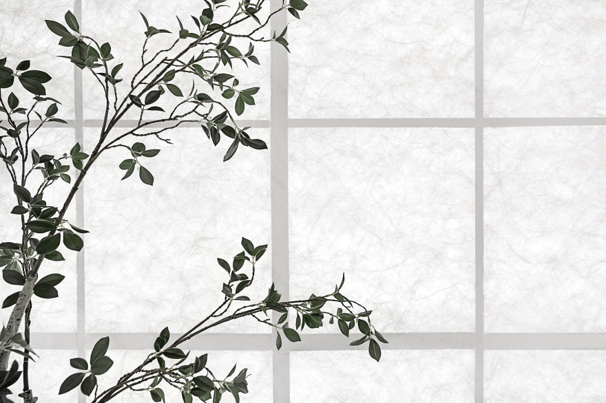 常熟瑜伽馆丨夏天设计工作室-65