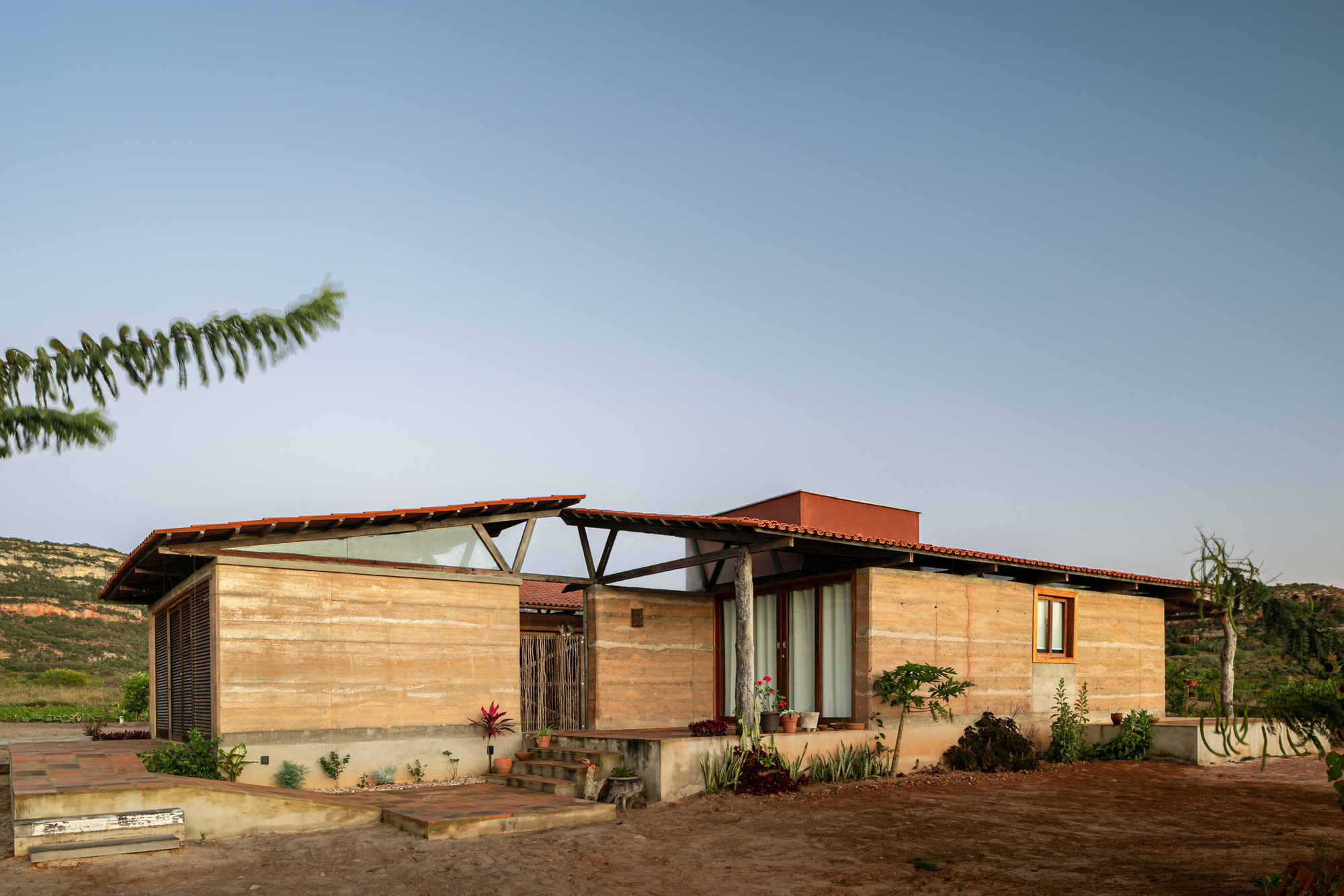 丨巴西伯南布哥丨AzulPitanga-12