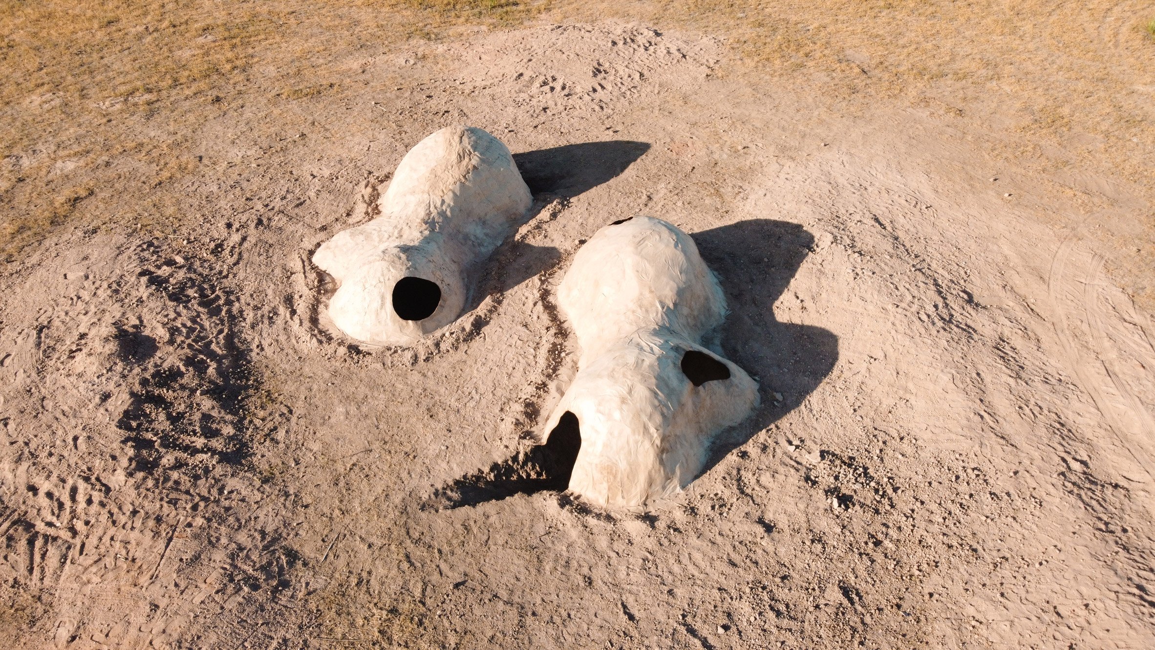 美国设计师在德州农场打造“世界最大纸浆建筑”-3