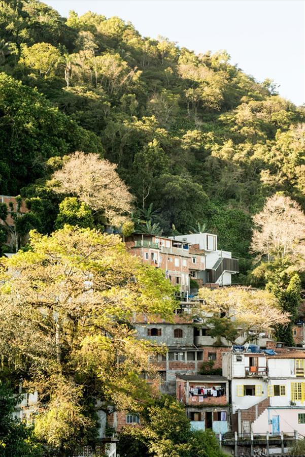 里约热内卢的"巴比伦 1500"画廊 | 巧妙融合自然与现代艺术-4