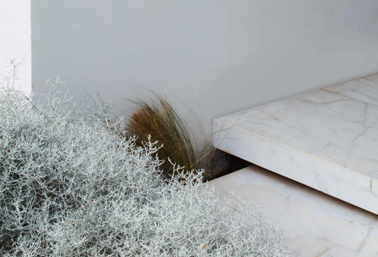 沉稳与活力的碰撞之美丨摩洛哥丨Crina Arghirescu-27