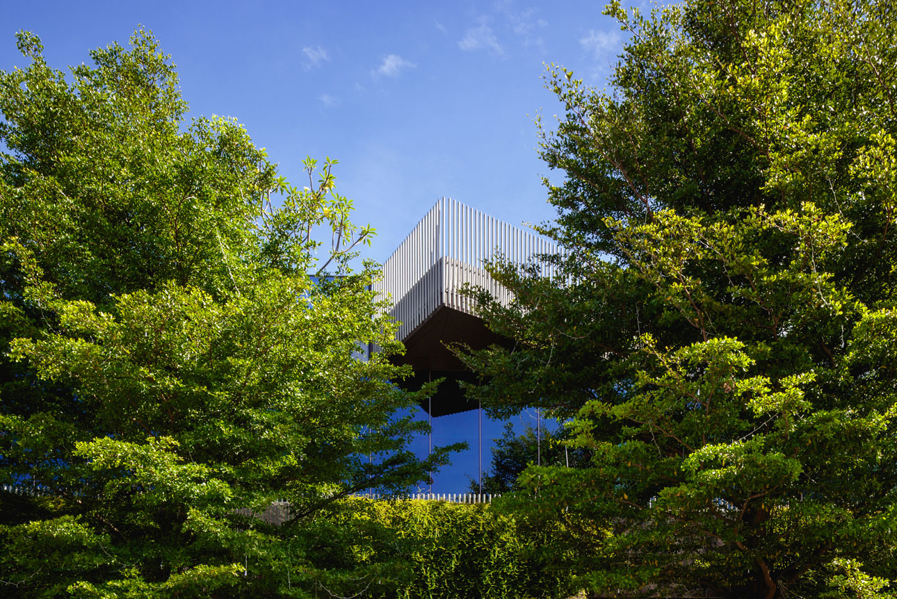 Tranquility within a Landscaped Courtyard-4