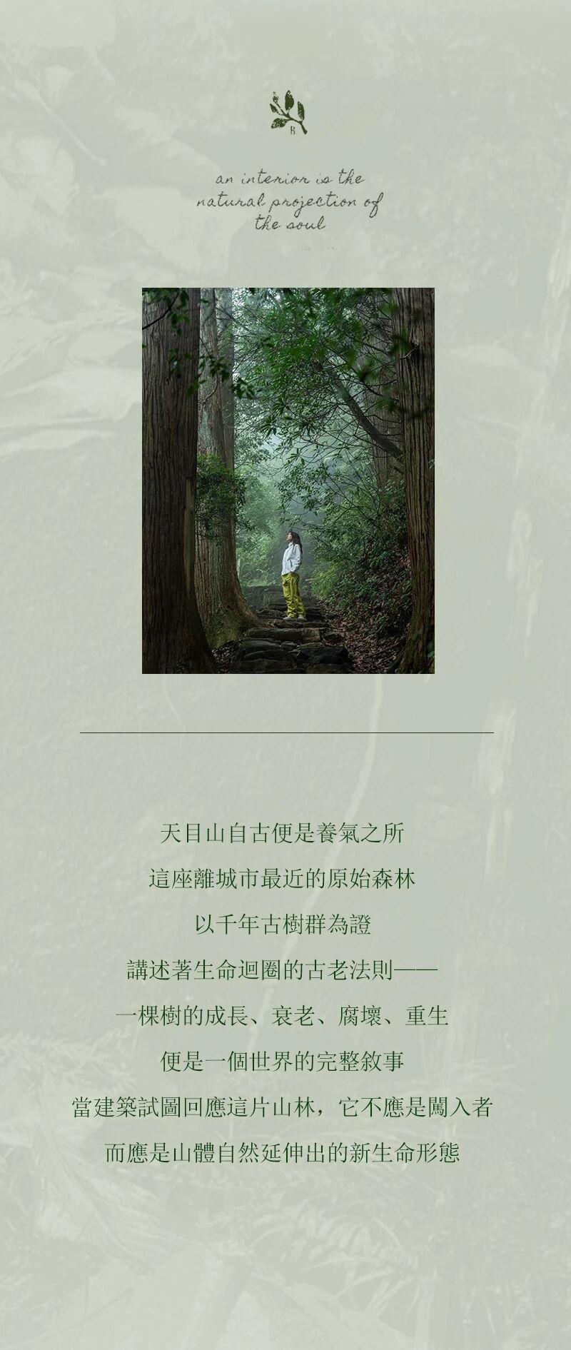 天目山树华酒店·希尔顿格芮精选丨中国杭州丨大象建筑设计有限公司（建筑,景观）-3