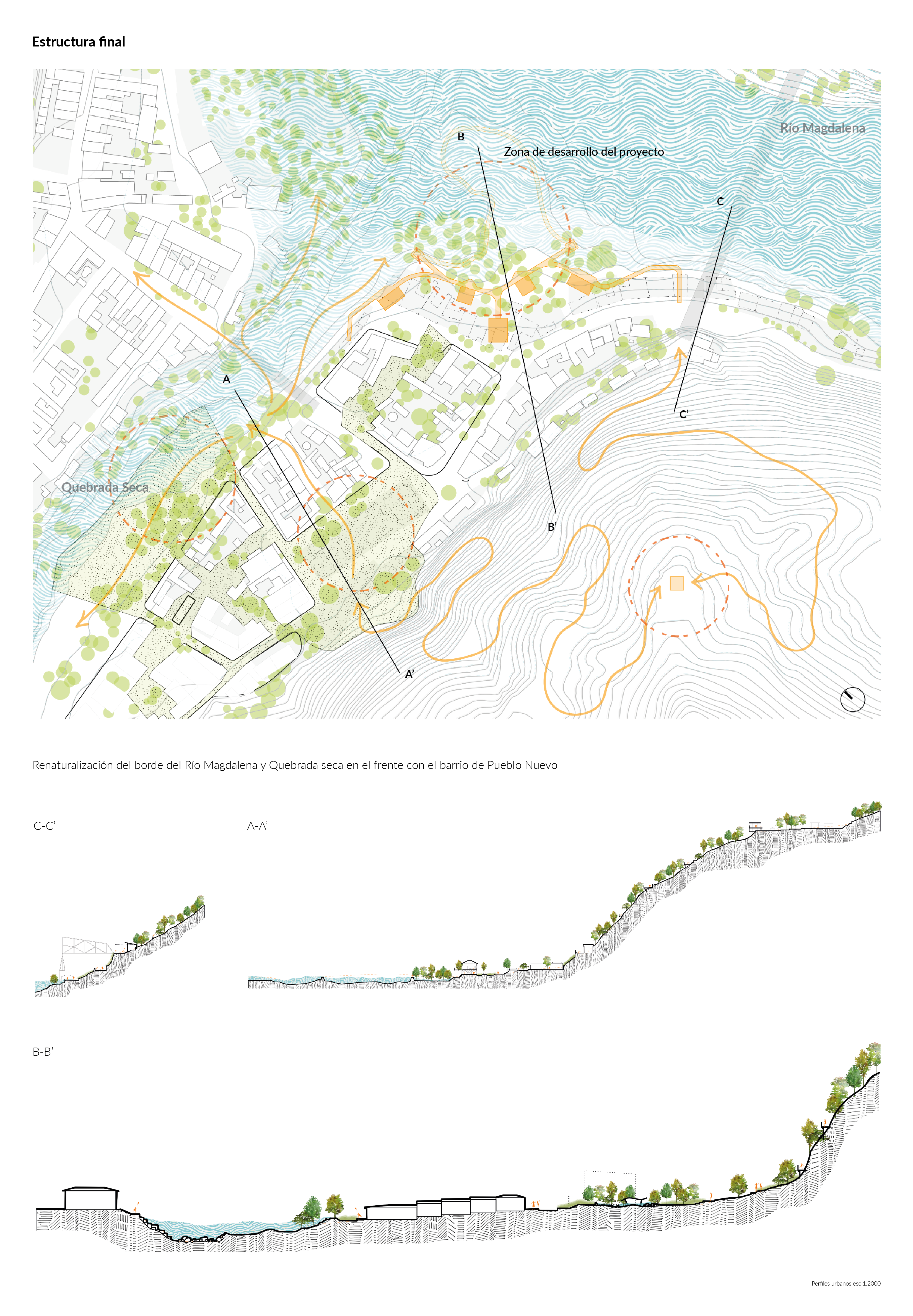 Honda: un ecotono en sinfonía-4