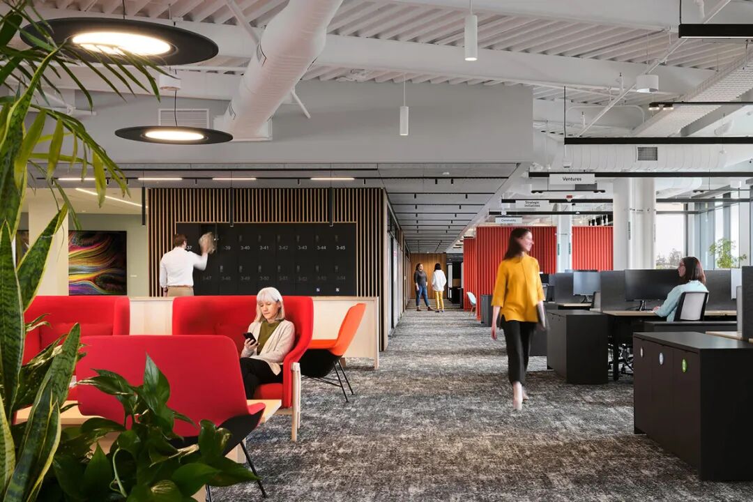 美国慈善组织总部设计丨Bohlin Cywinski Jackson-11