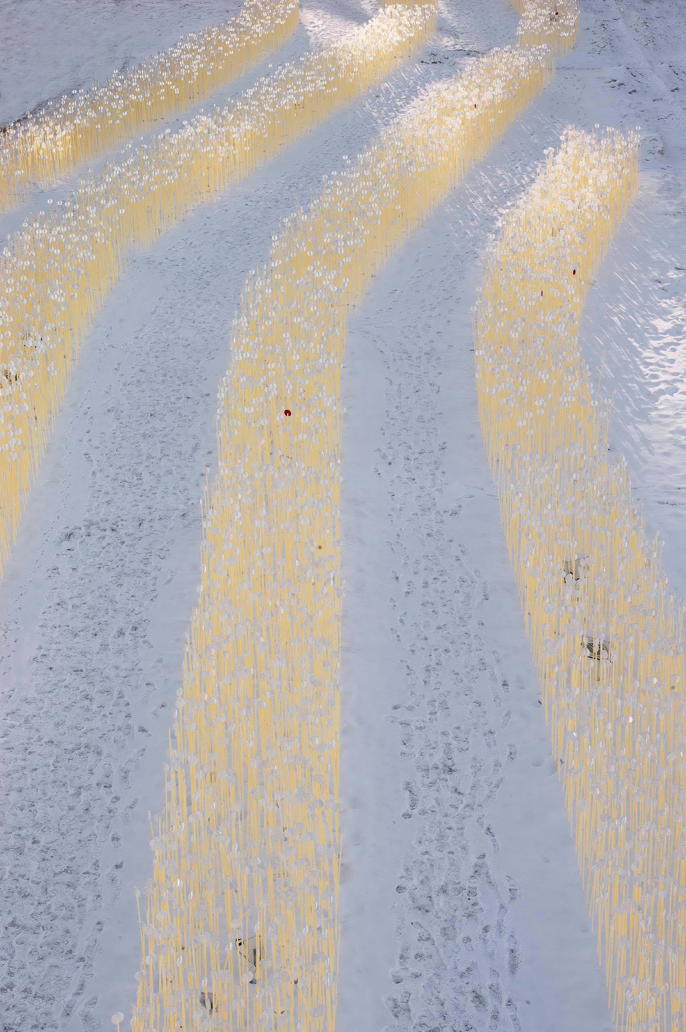 冬季麦田幻境 | Entre les Rangs 公共艺术装置-16