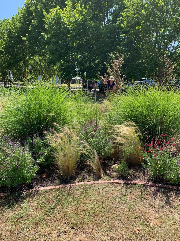 澳大利亚医院治疗花园设计项目丨阿根廷布宜诺斯艾利斯丨Valeria Lennon（农业工程师兼景观设计师）-18