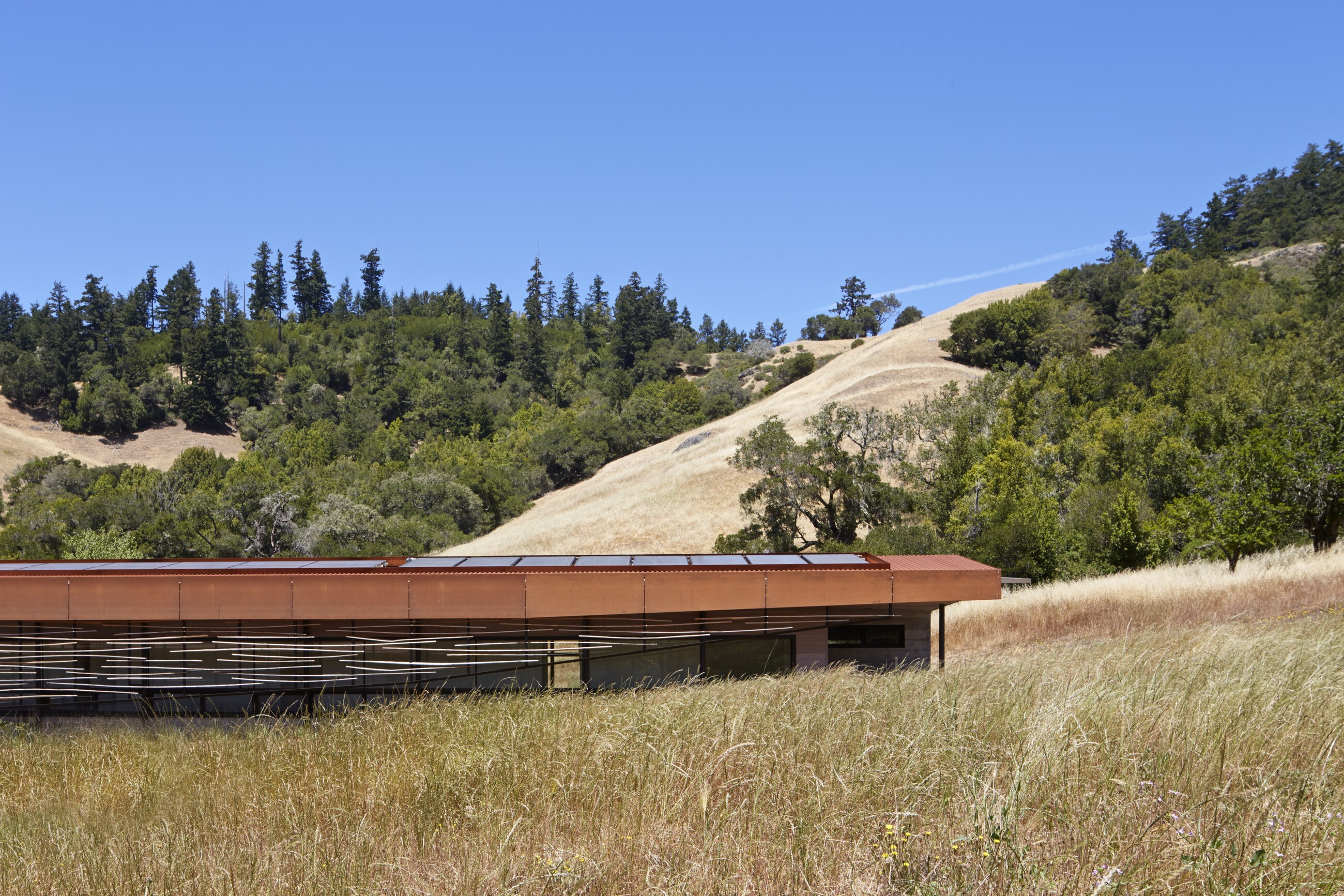 Crook Cup Bow Twist（曲木之魂）住宅设计-18