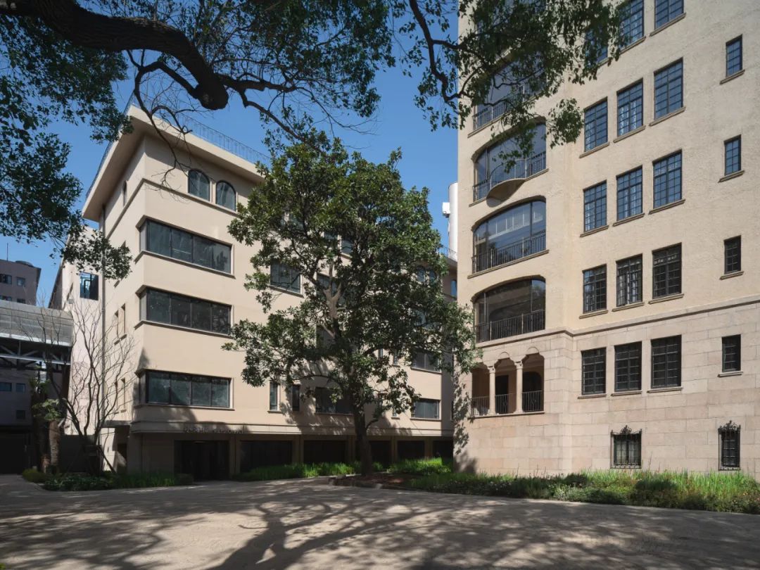 百年名园重生：静安宾馆历史花园保护性改造-80