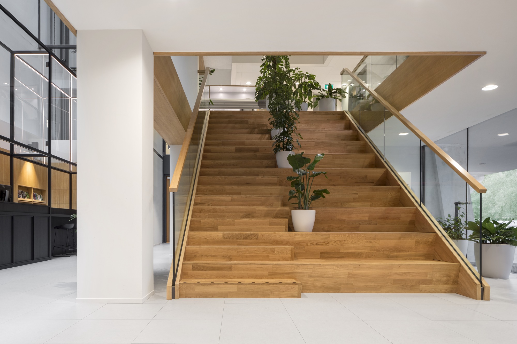 Naturalis Biodiversity Center / Hollandse Nieuwe-28