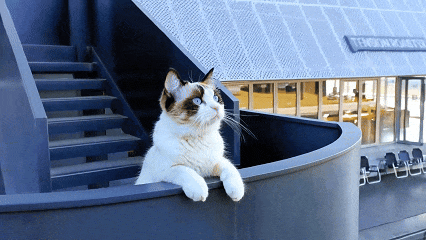 咖场 （Tension Roaster）丨中国苏州丨赵牧桓室内设计研究室,牧桓设计+灯光设计顾问-18