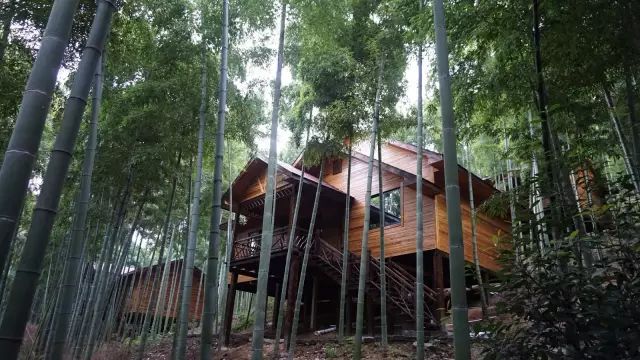 一家3口逃离都市，包下30亩地爆改老房子，有人开车2小时只为在这睡一觉-5