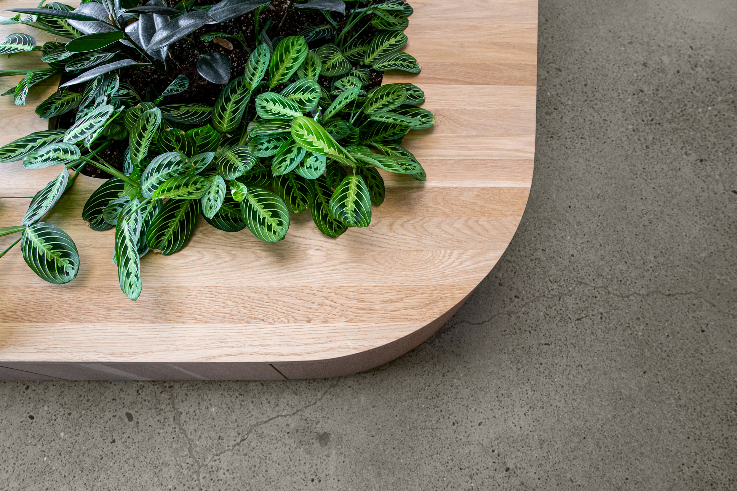 西北功能性神经学诊所丨美国俄勒冈丨Fieldwork Design and Architecture-19