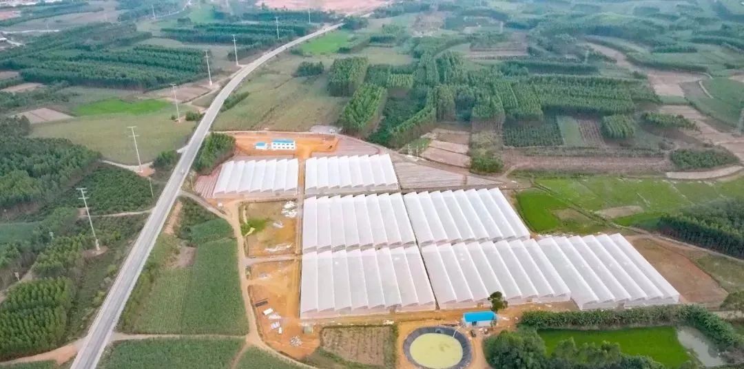 《宁乡流沙河镇乡村振兴规划》荣获省一等奖,产业兴旺与生态宜居并重-93