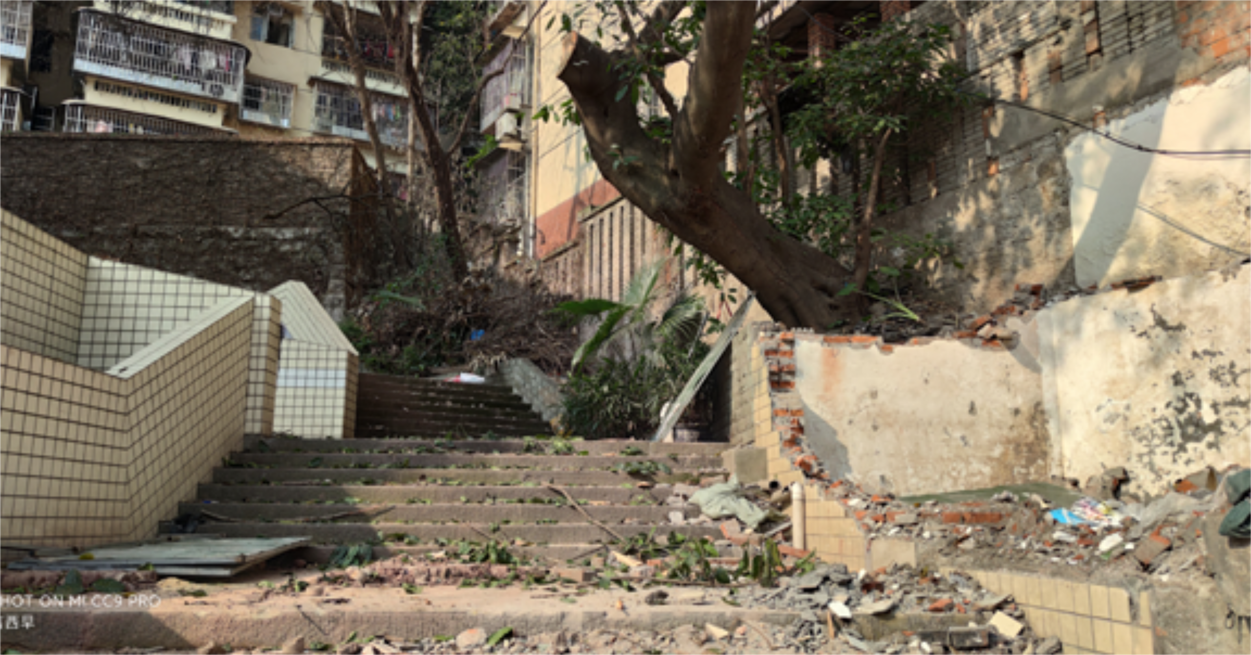 巴蜀中学张家花园校区景观改造丨中国重庆丨AF.d 奥凡设计(景观),重庆市设计院城市建筑一院(建筑)-92