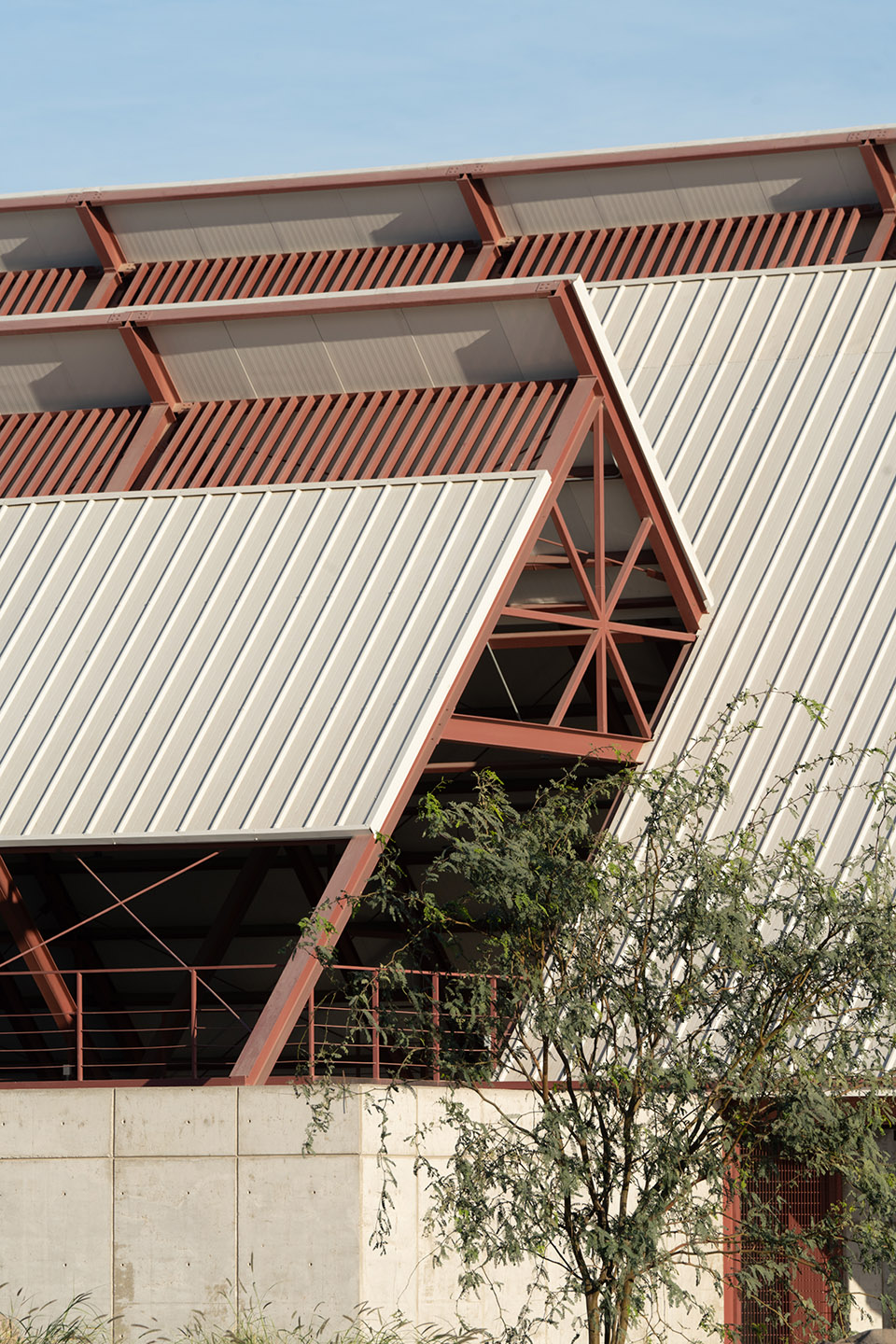 La Paz总体规划及体育综合体丨墨西哥丨CCA | Bernardo Quinzaños-107