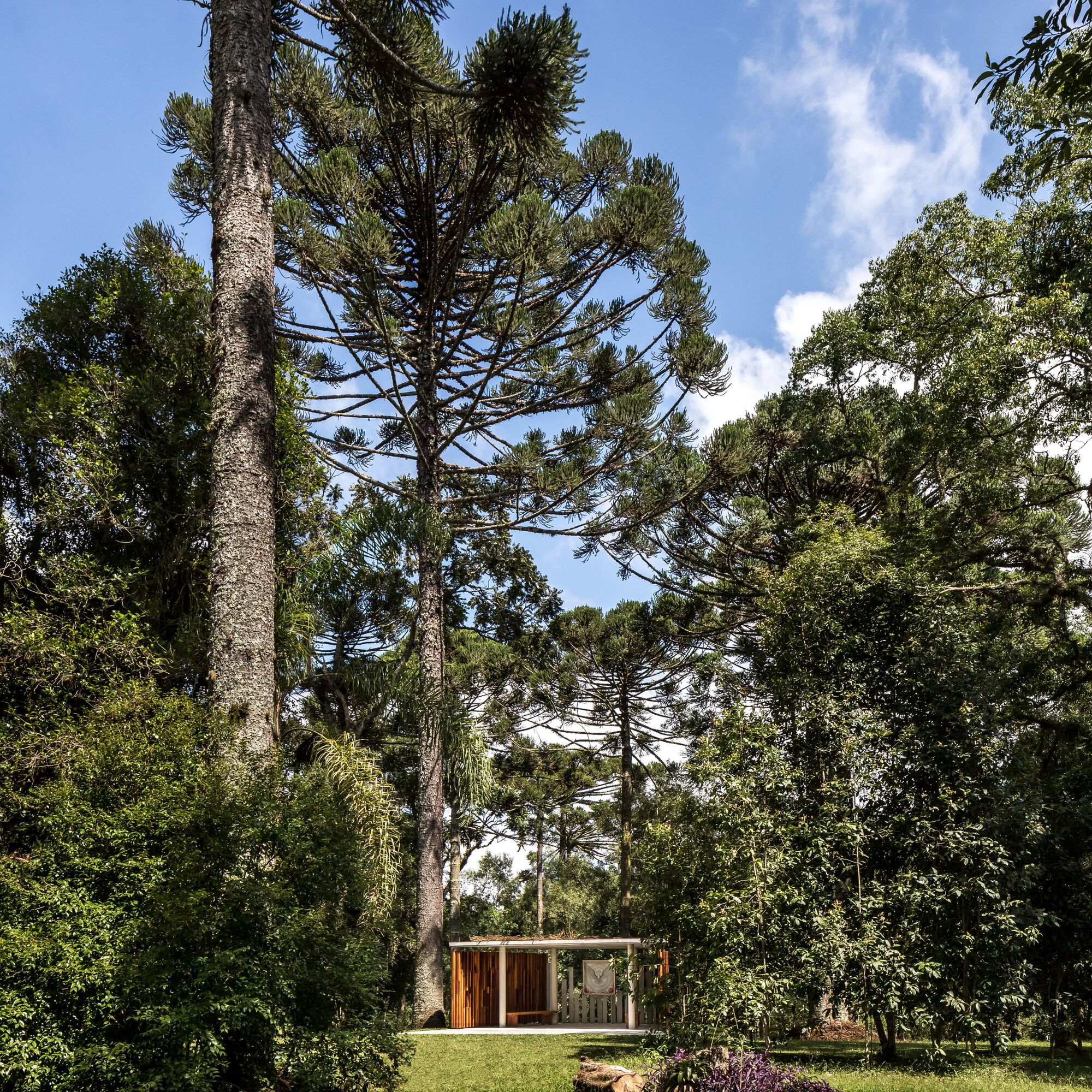 玛丽亚·卡塔琳娜小教堂丨巴西丨Canalli Arquitetura-24