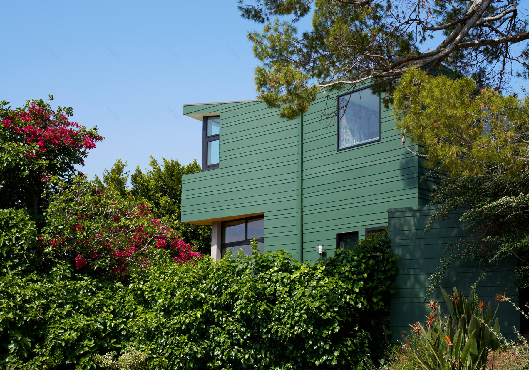Martin Fenlon Architecture wraps Los Angeles house in woodsy green cladding-3