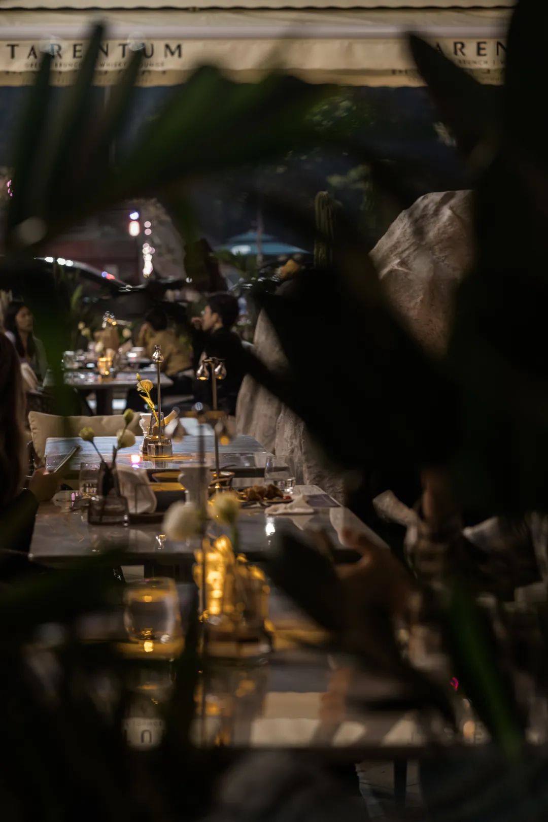 TARENTUM 萄木丨中国深圳丨RBD DESIGN BOX 瑞本设计-46