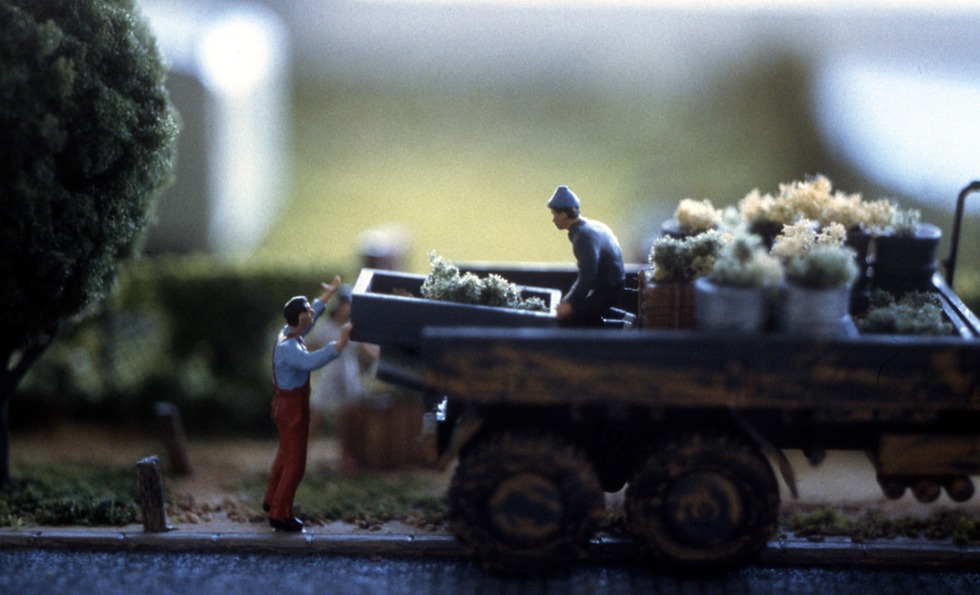 小众 · 阴郁花园丨德国科隆-7