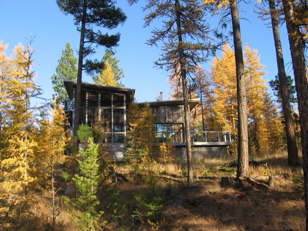 丨美国华盛顿丨HARRISON architects-1